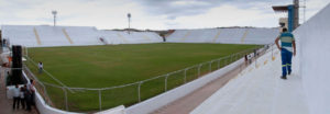 novo_salgueirao