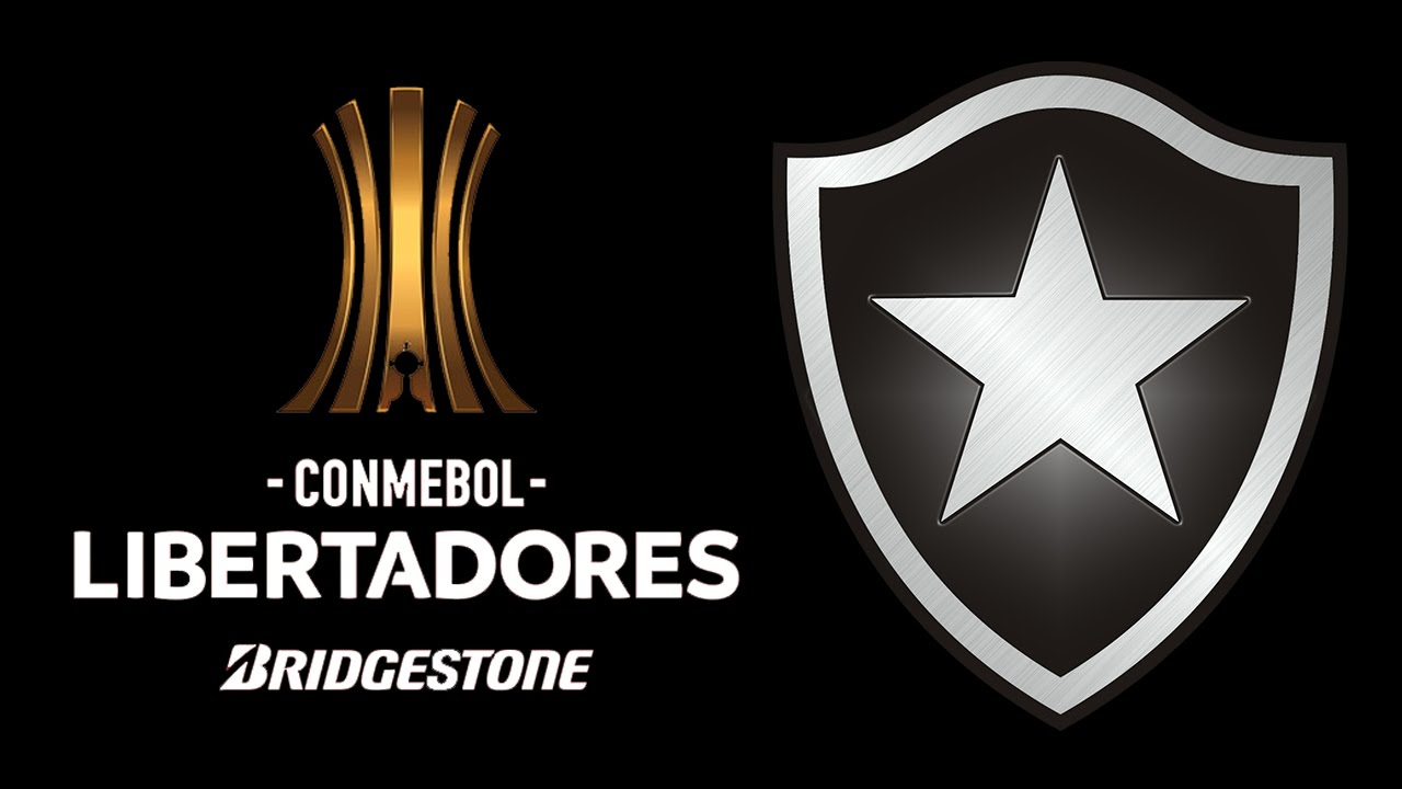 botafogo liberta